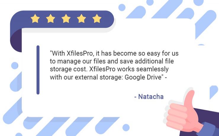 One of the leading construction companies leveraged XfilesPro to store their Salesforce files in Google Drive