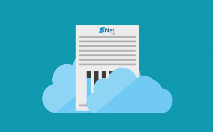 In 2020, Get Rid of High Salesforce File Storage Costs with XfilesPro
