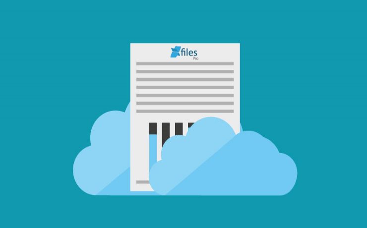 In 2020, Get Rid Of High Salesforce File Storage Costs With XfilesPro