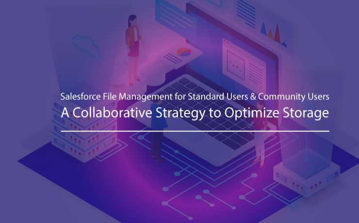 Salesforce File Management for Standard Users & Community Users: A Collaborative Strategy to Optimize Storage