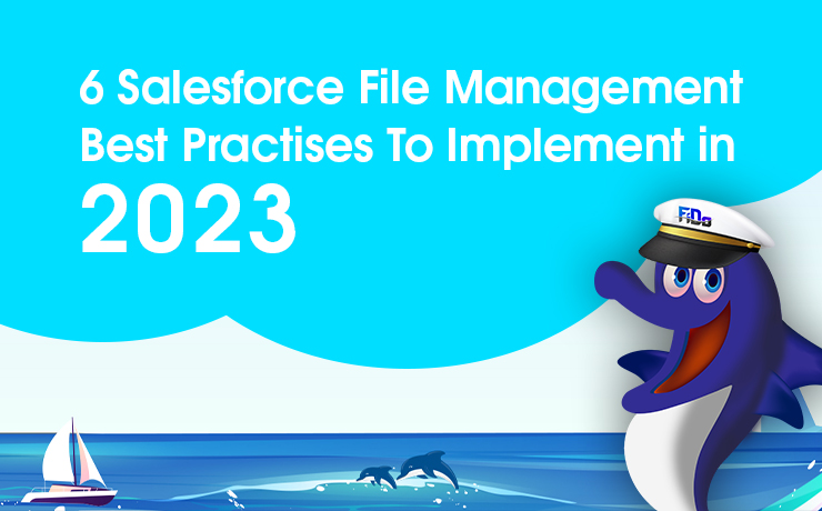 6 Salesforce File Management Best Practises To Implement in 2023