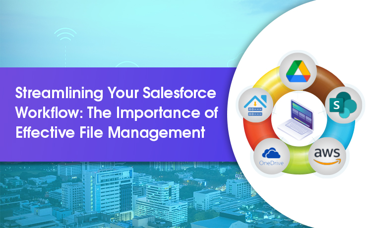 file management in Salesforce