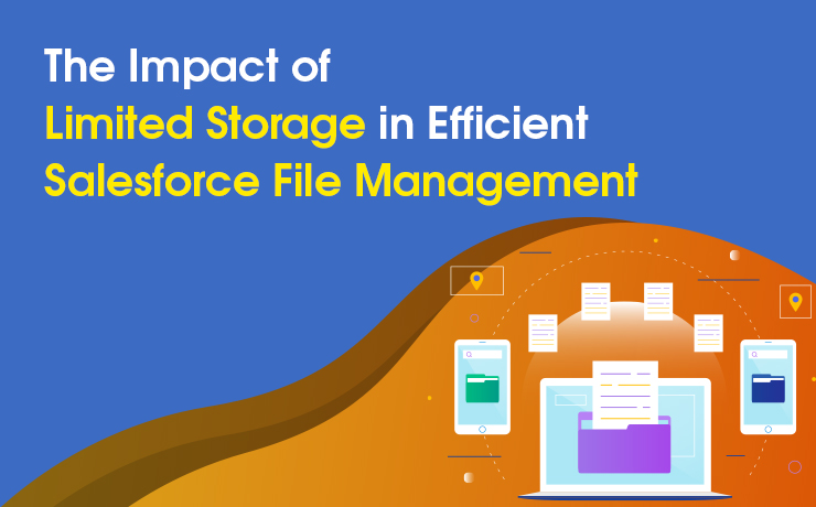 limited salesforce file storage