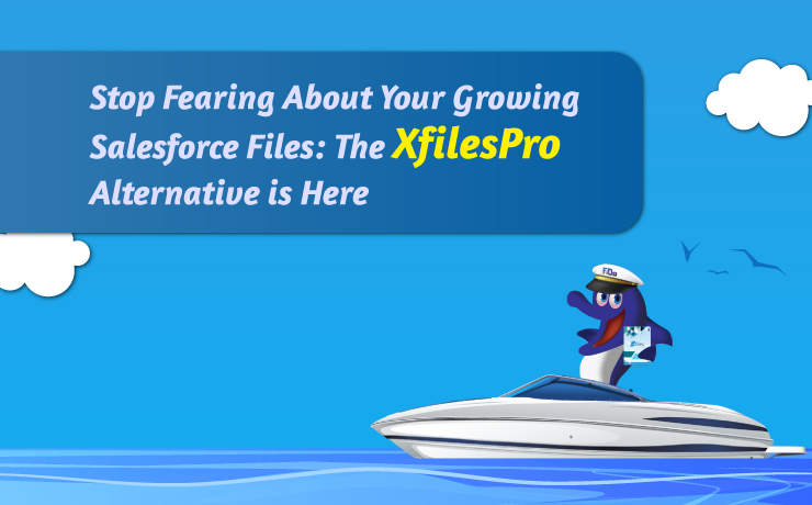 How to keep your Salesforce file storage space unaffected with the growing volume of files