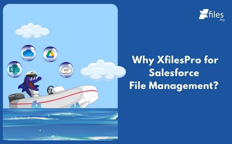 Why XfilesPro for Salesforce File Management?
